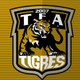 team_shield