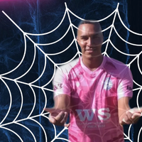 player_image