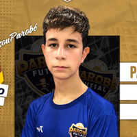 player_image