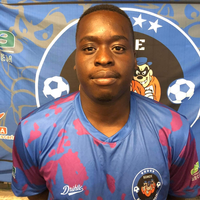 player_image