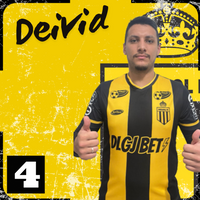 player_image