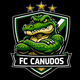 player_image