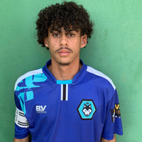player_image