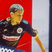 player_image