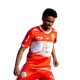 player_image