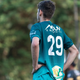 player_image