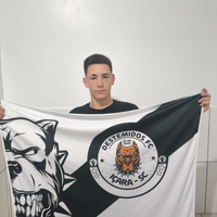 player_image