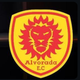 player_image