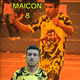 player_image