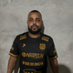 player_image