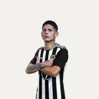 player_image