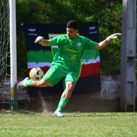 player_image