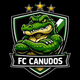 player_image