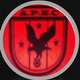 team_shield