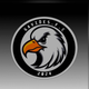 team_shield