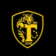 team_shield