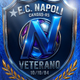team_shield