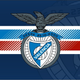 team_shield