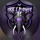 team_shield