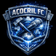 team_shield