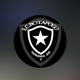 team_shield