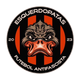 team_shield