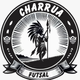 team_shield