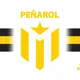 team_shield