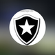 team_shield