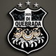 team_shield