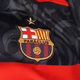 team_shield