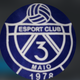 team_shield