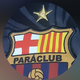 team_shield