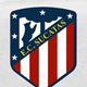 team_shield
