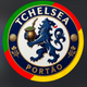 team_shield
