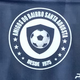 team_shield