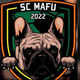 team_shield
