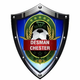 team_shield