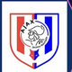 team_shield
