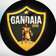 team_shield