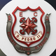 team_shield