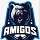 team_shield