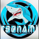 team_shield