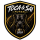 team_shield