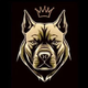 team_shield