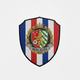 team_shield