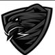 team_shield