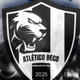 team_shield