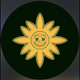 team_shield