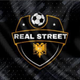 team_shield